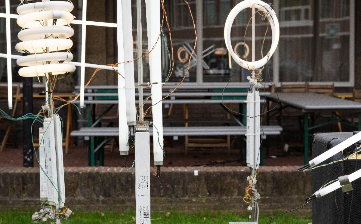 DSC00348cropped 4-01.jpg