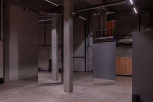 2 Nest Open Field Elsemarijn Bruys and Loma Doom - Joris van den Einden..jpg