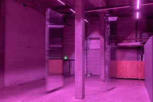 4 Nest Open Field Elsemarijn Bruys and Loma Doom - Joris van den Einden..jpg