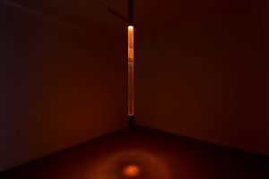 ©CharlottMarkus_Nest_SomeWorldFutures_Philipp Groubnov & Alexander Jermilov.jpg