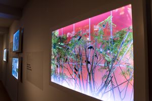 Migratie Museum-5789.jpg