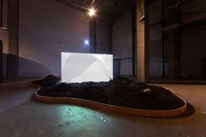 Nest - In Land We Resonate - documentation by Kyle Tryhorn 004.jpg