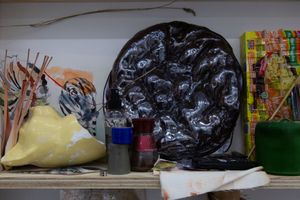 Searching for Oneself Outside - Nest 012.jpg