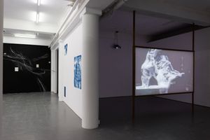 Searching for Oneself Outside - Nest 014.jpg