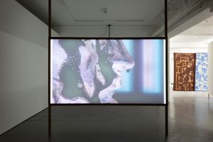 Searching for Oneself Outside - Nest 016.jpg