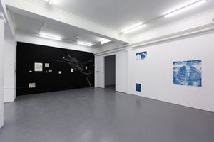 Searching for Oneself Outside - Nest 023.jpg