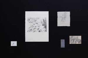 Searching for Oneself Outside - Nest 029.jpg